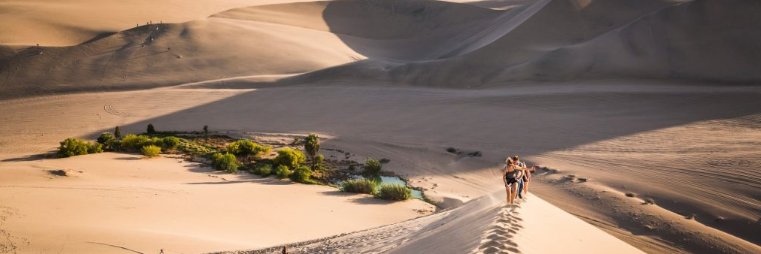 TheDragon ❤️ Memecoin banner