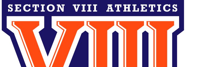 Section VIII Athletics banner