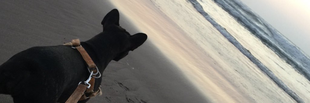 IsiAnto23's profile banner image