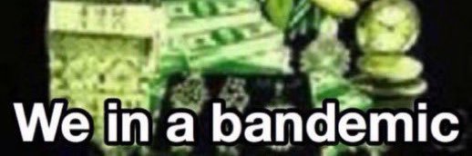 real bobe banner