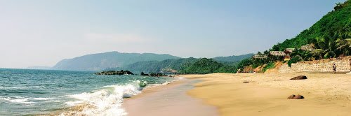 Ansh Goyal, MD, MS banner