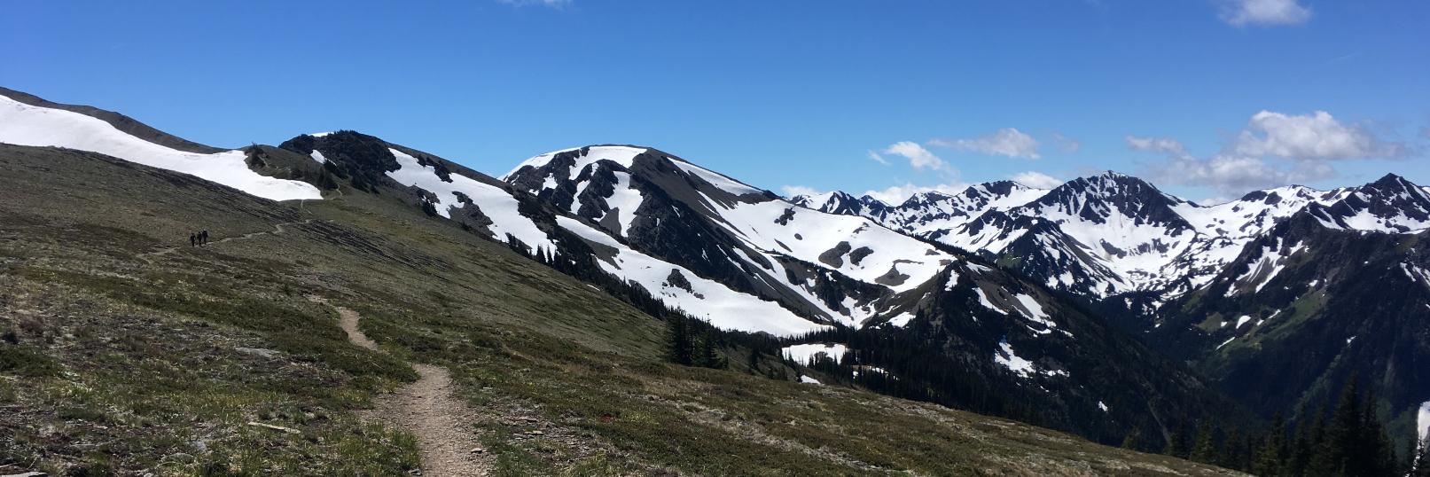Louis-Philippe Bernier banner