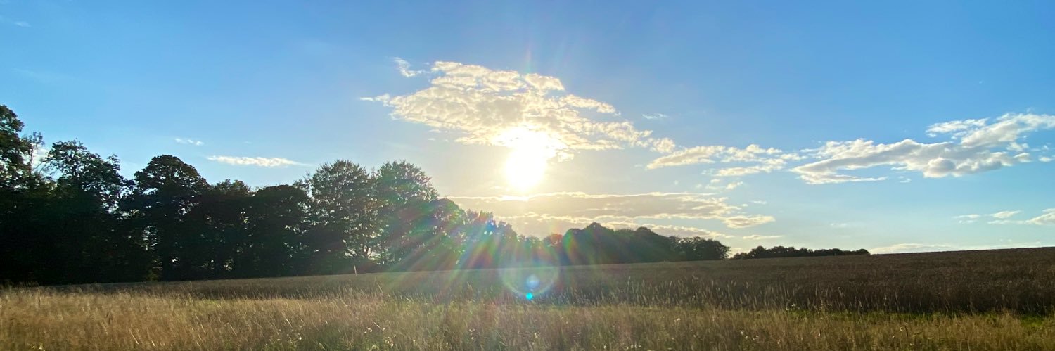 ͏ banner