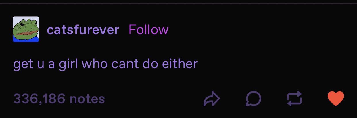 catinabox( i do not exist) banner