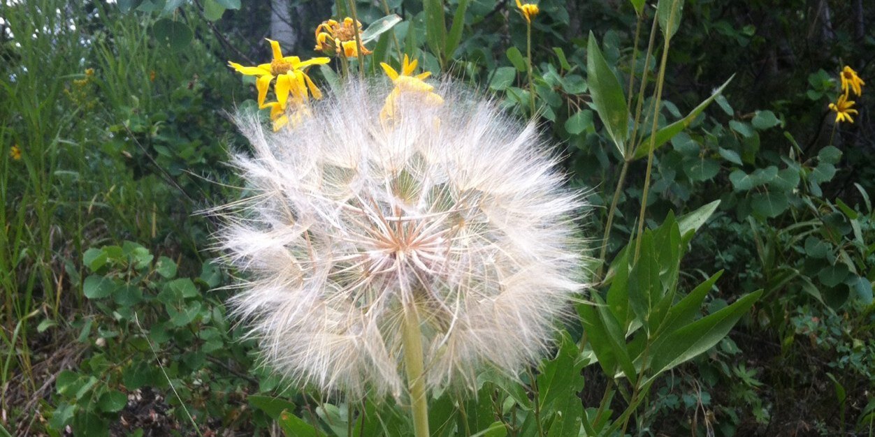 Ronald Reagan Elem banner