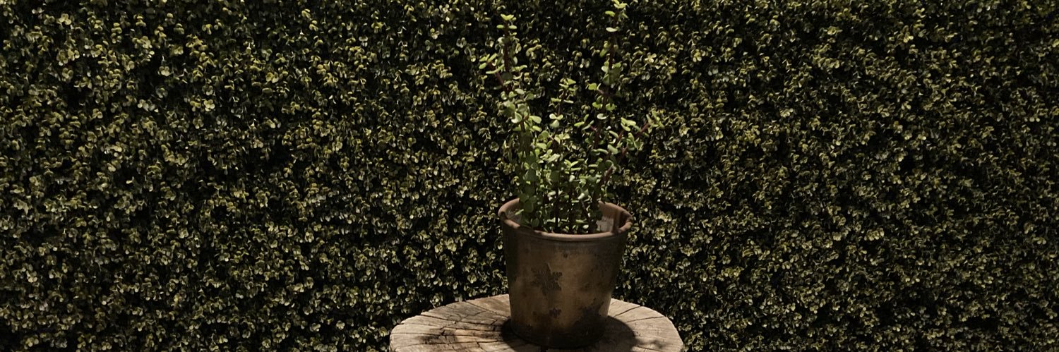 Maria Ostos banner