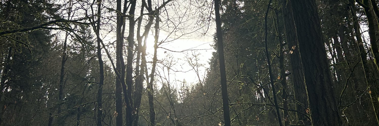 Swoopy banner