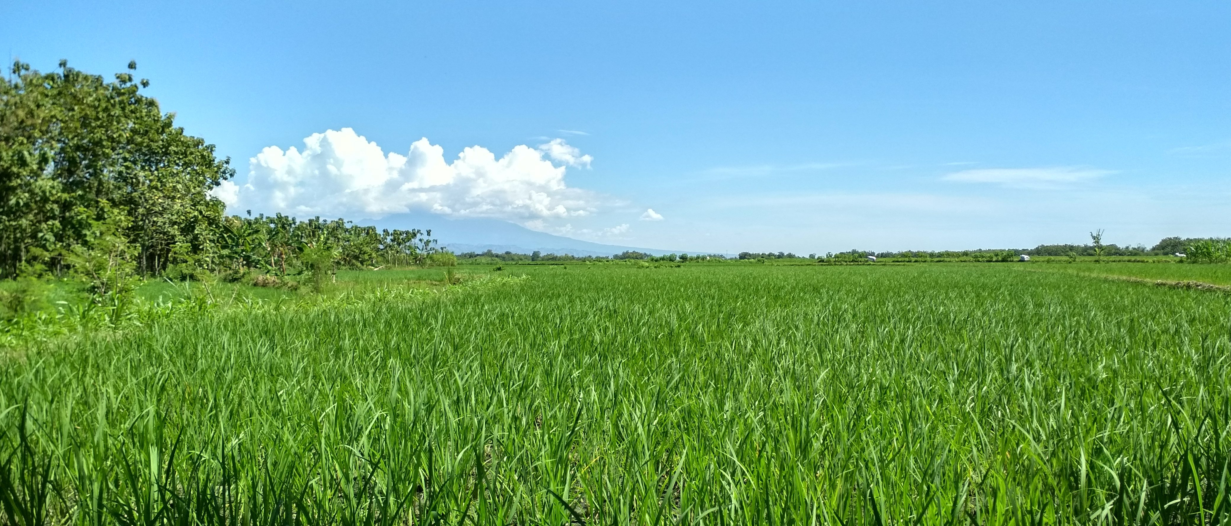 irawan10101's profile banner image