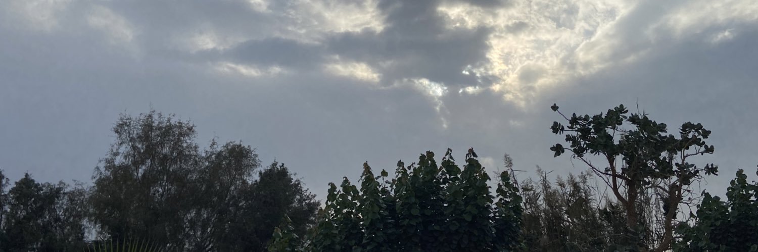 رَاءْ🌻 banner