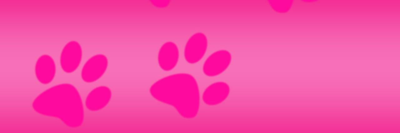 Beccaiou's profile banner image