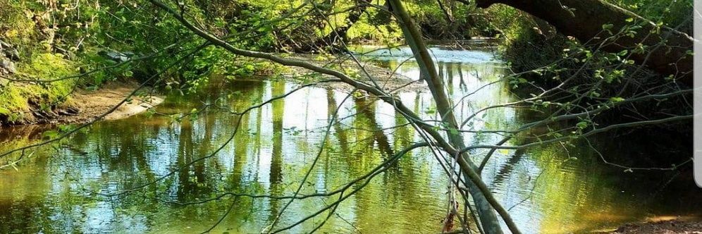 Scottish Snow banner