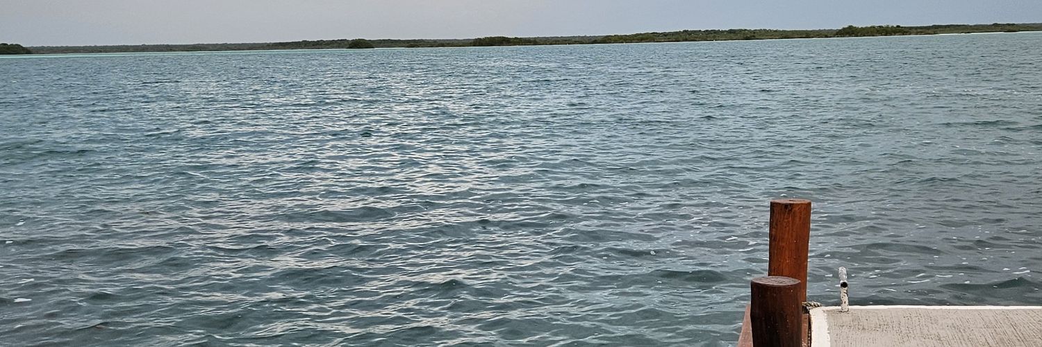 hami20's profile banner image