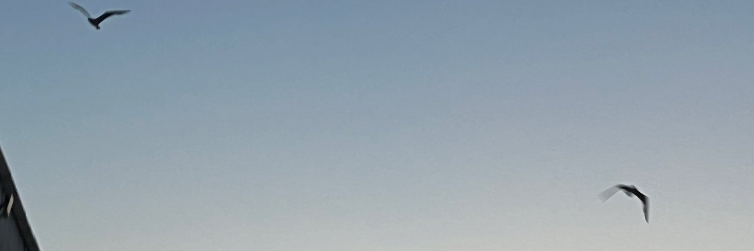 Natinatt99's profile banner image