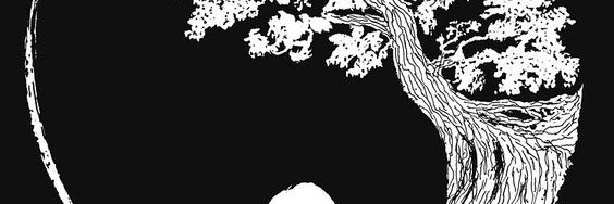 HelenDrew1903's profile banner image