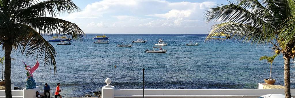 Πάβελ Πλεσκόφ banner