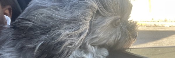 ImChevvii Profile Banner