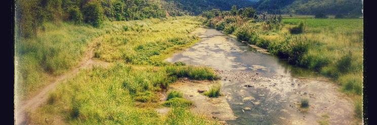 Griot 🇧🇧🇯🇲🇺🇲 banner