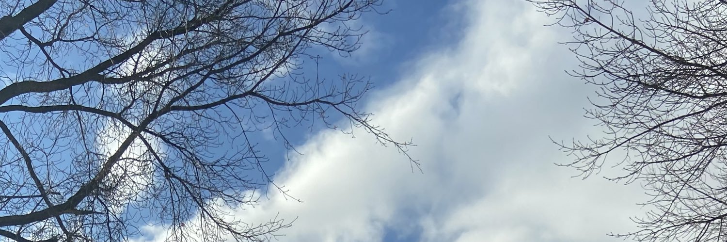 RNAveryy's profile banner image
