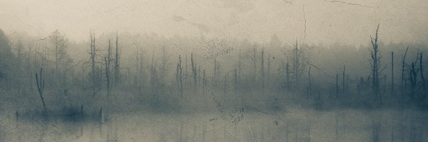 CallOfTheVoidP Profile Banner