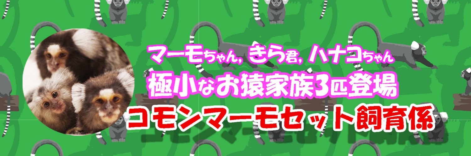 marmomonkey's profile banner image
