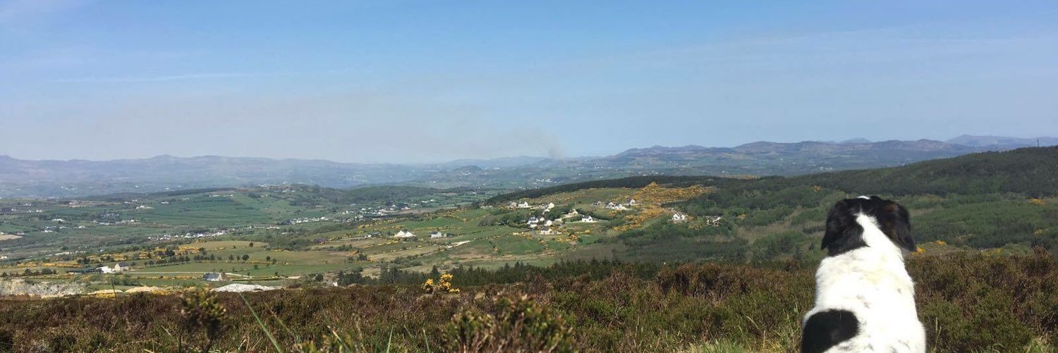 Rorycarr3's profile banner image