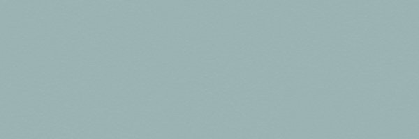 RachelNCorbett Profile Banner