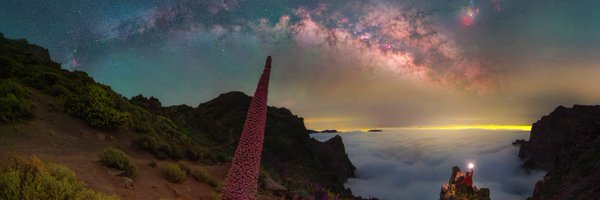 dmaimo Profile Banner