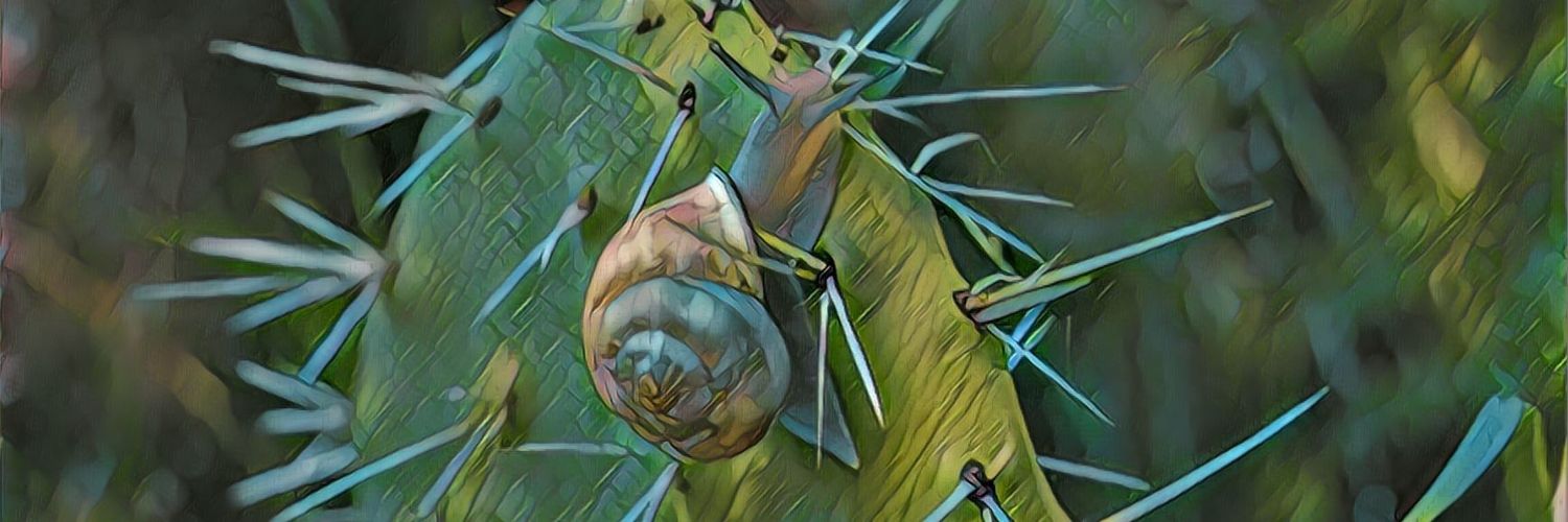 anna_giuffrida's profile banner image