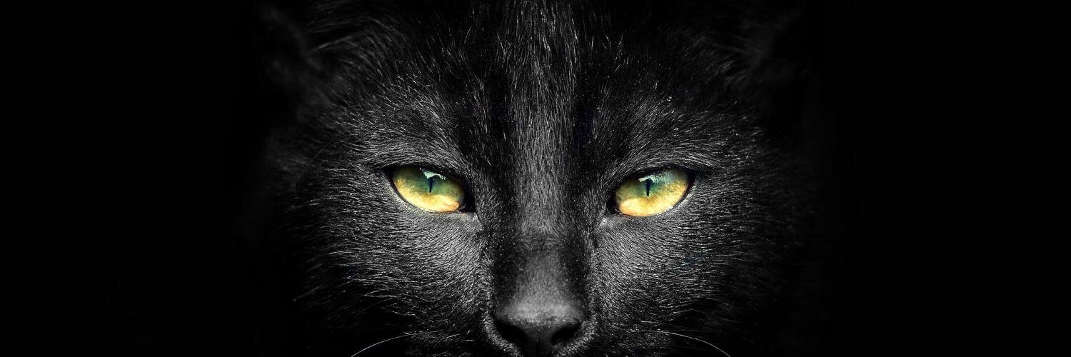 Wouter van Os banner