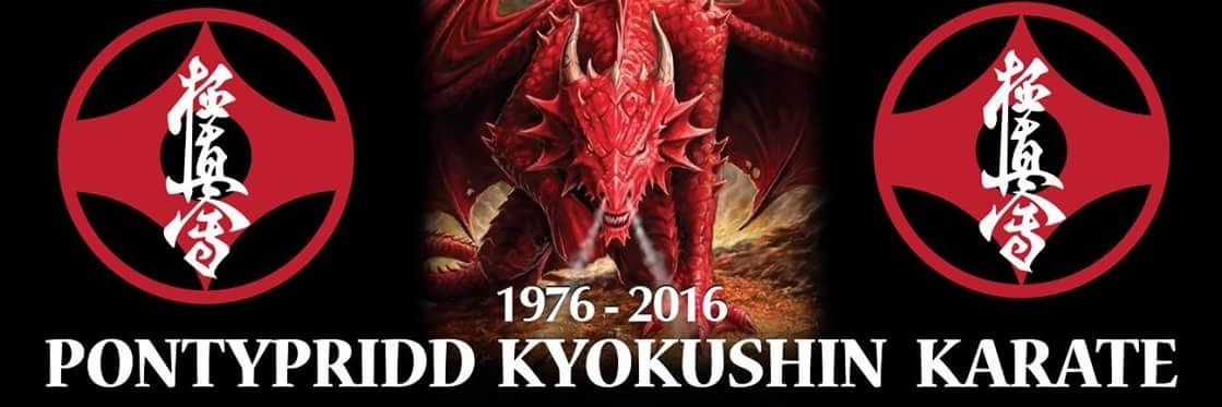 PSKyokushin's profile banner image