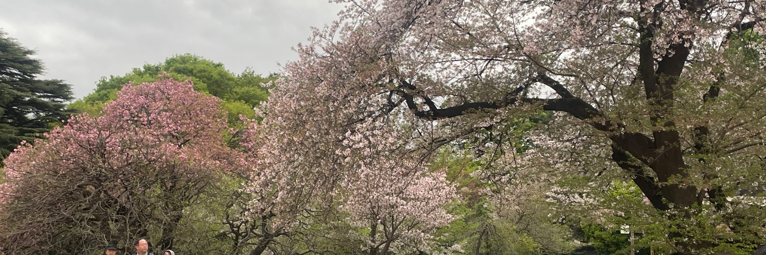 pətrɪʃɪə 🐿️🌰 banner