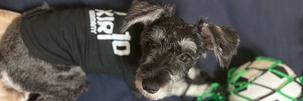 Masahiko_Ishida Profile Banner