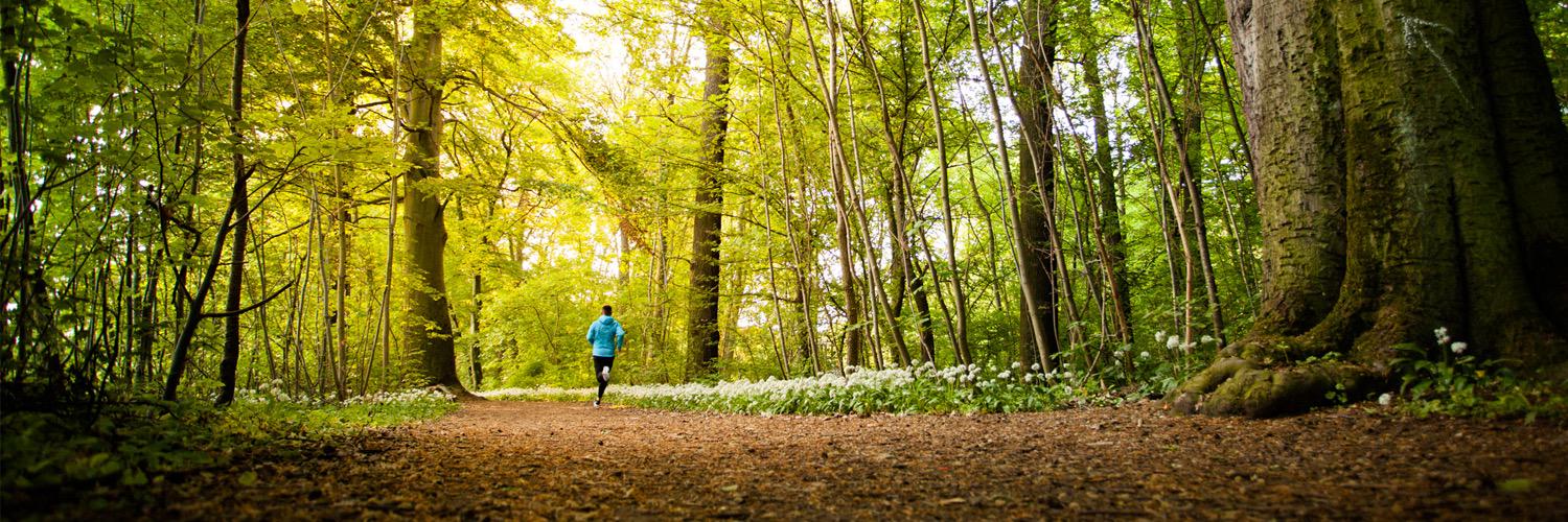 LAUFTRAININGcom's profile banner image