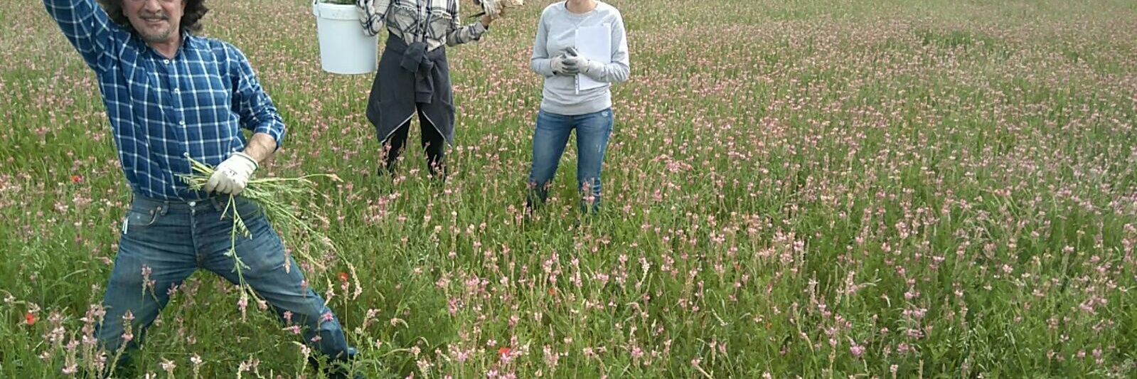 Carlos Rad🌾 banner