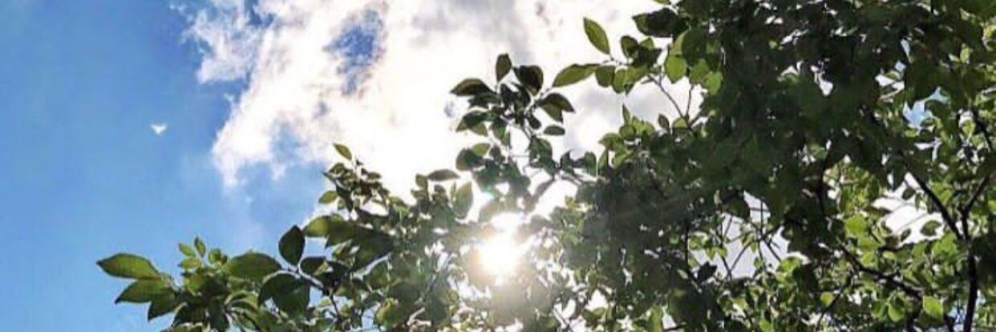 Syed Saad Hussain banner