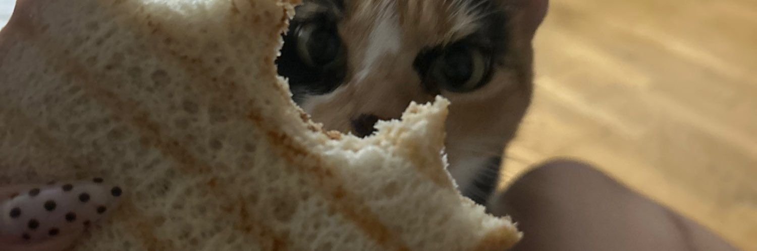 cosa2_'s profile banner image