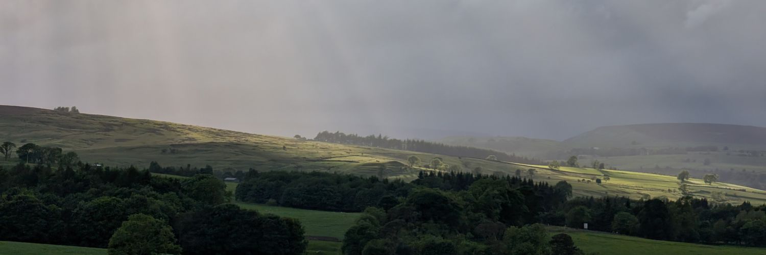 skwtsn's profile banner image