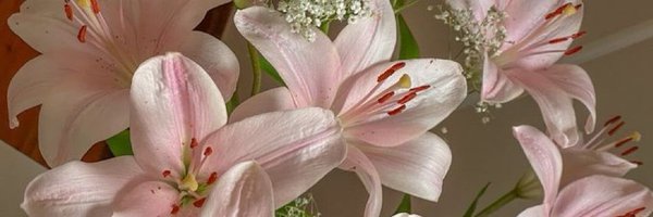 llockserr Profile Banner