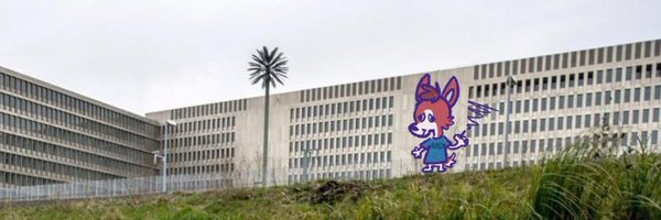 andrebarks Profile Banner