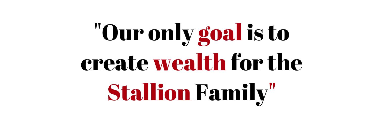 Stallion Asset banner