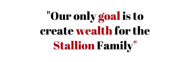 StallionAsset Profile Banner