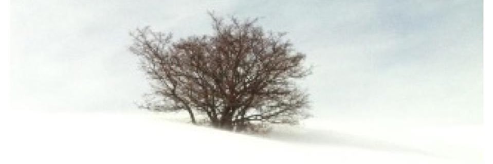 importer333's profile banner image