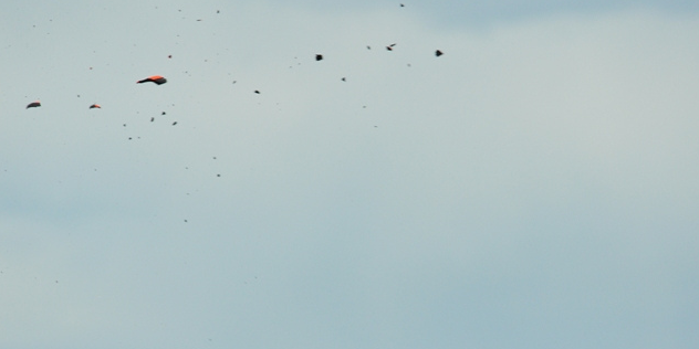 PellaShooters's profile banner image