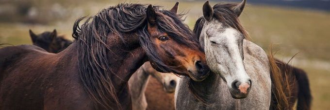 Debi Jackson 💙🌎💙 banner