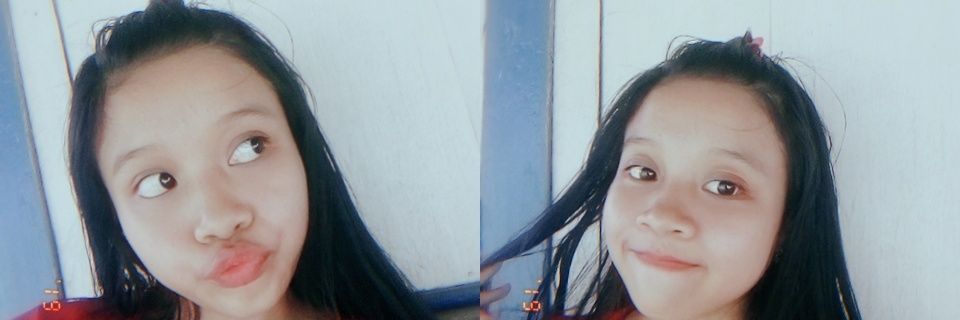 Dewi Prayitno banner