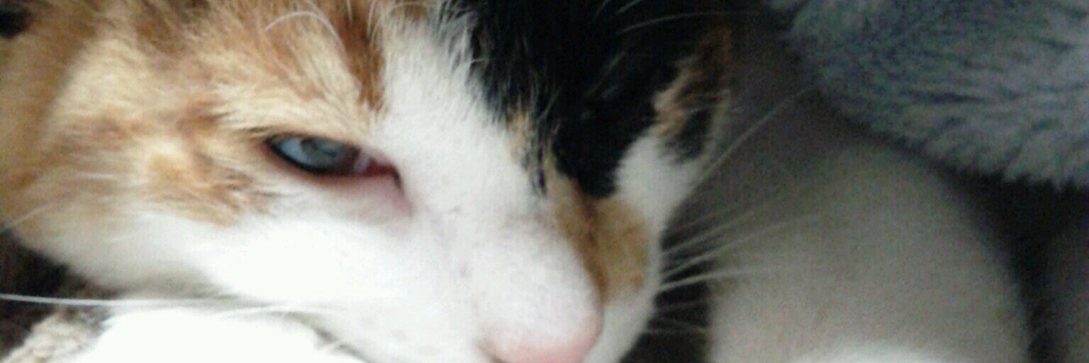 m__c__k_'s profile banner image