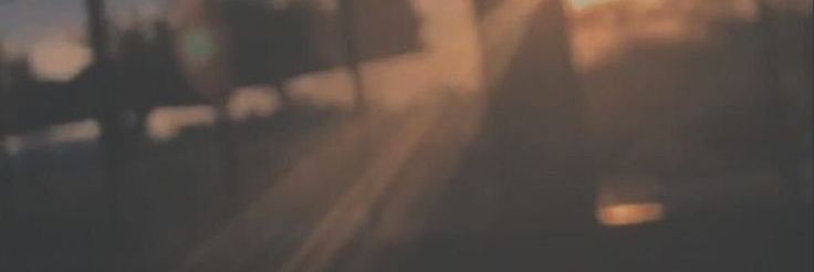 • Z e N • banner