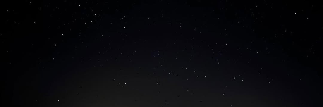 dipchia'🍑 banner