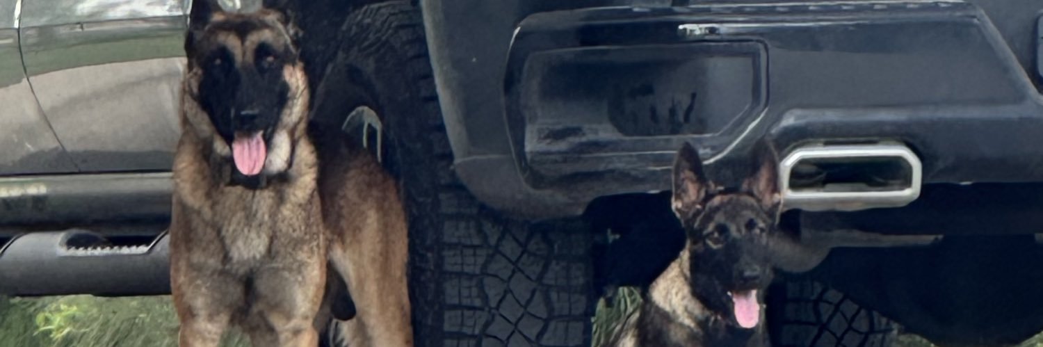 JasonBarroso88's profile banner image
