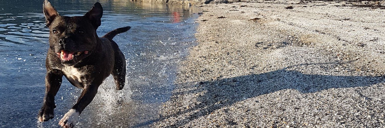 Vivian Ebeltoft banner